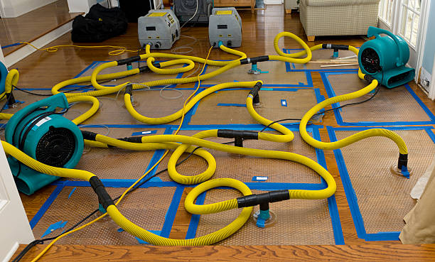 Professional Water Extraction technician working in Camp Hill, AL